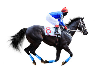 horse racing jockey isolated on white background