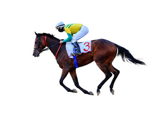 horse racing jockey isolated on white background