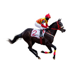 horse racing jockey isolated on white background