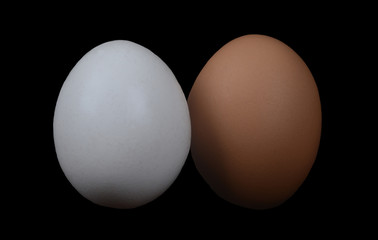 One Brown Egg And One White