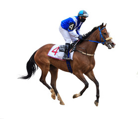 horse racing jockey isolated on white background