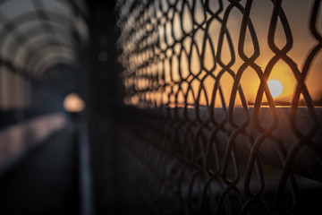Sunset Fence