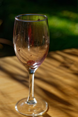Dirty red wine glass attracting fruit flies