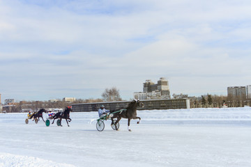 races in winter at the racetrack, horse racing jockey