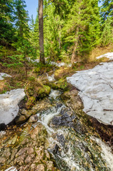 Majestic mountain river in Vancouver, Canada. View with mountain background.
