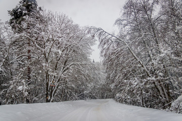 The road in the winter forest. Snow picture. Branches of trees in the snow hang over the road.