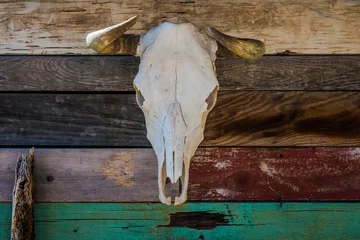 Fototapete Route 66 A bleached skull of a steer hanging on a rustic wall.  © Wayne Stadler Photo