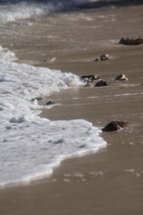 private beach tropical island