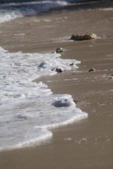 private beach tropical island