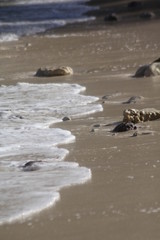 private beach tropical island