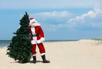 Christmas Santa Claus on the beach. New Year's travel vacation discounts and travel agencies price reductions concept.