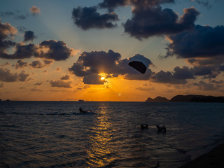 Silhouette of a dog and flying kites on the background of the setting sun and clouds. Koh Phangan. Thailand