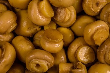 Texture of the canned mushrooms for the background