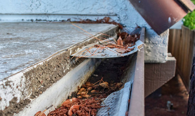 Roof gutter clogged with leaves, pine needles and debris. Damaged plastic mesh gutter guard and...