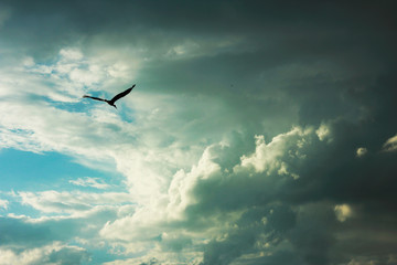 Storm clouds backgrounds