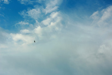 summer spring cloudy blue sky