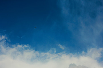 summer spring cloudy blue sky