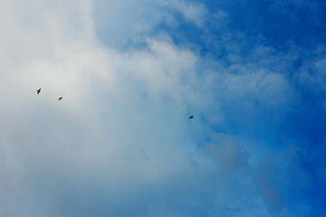 summer spring cloudy blue sky