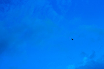 summer spring cloudy blue sky