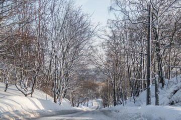 The road in the winter forest. Snow picture. Branches of trees in the snow hang over the road.