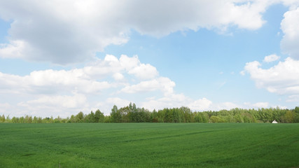 Green field, trees and blue sky.Great as a background