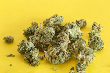 Cannabis Flower Legal Weed. Marijuana Bud.