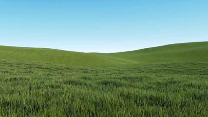 sky and grass background 3D Rendering
