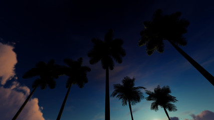 Palm Sunset Background 3D Rendering