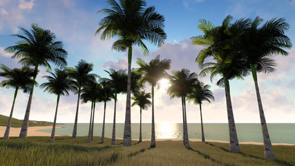 Obraz na płótnie Canvas Palm Sunset Background 3D Rendering