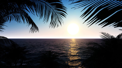 Obraz premium Palm Sunset Background 3D Rendering