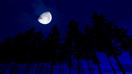 Fototapeta na wymiar Night Moon Background 3D Rendering