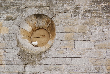White dove perched in the hollow of a round window of a stone wall, photo with copy space and negative space to place text.