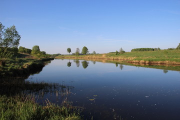 Fototapeta premium Wide calm river with green shores and rare trees reflects blue summer sky