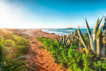 Colorful spring seascape on the Passero cape Sicily