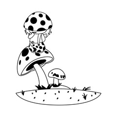 fungu elf in garden magic character