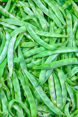 Batcj of Green String Beans on Stand for Sale.