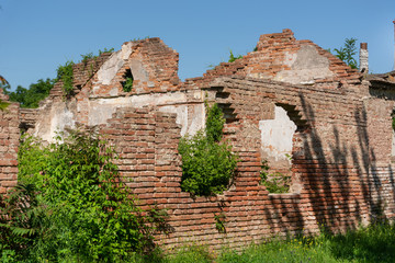 Ruin old house without roof with red brick walls and grass growing from the floor. The house...