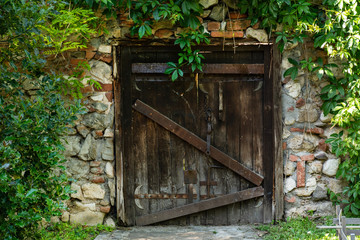 The very old wooden door on the house and wall covered with green leave of plants. Exterior view of the door with an old metal padlock. Close up, selective focus
