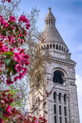 View of the tower of the Sacre Coeur basilica in Paris, France. Spring with cherry blossom branch.