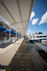 Docks at Bayside Marketplace Marina stock photo