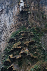 Árbol de navidad, Cañon del Sumidero, Chiapas