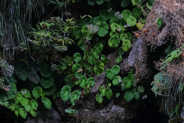 Cañon del Sumidero, Chiapas