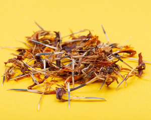 Pile of Marigold Dry Seeds (Mexican marigold, Aztec marigold, African marigold) on yellow background. Tagetes erecta. Daisy family.