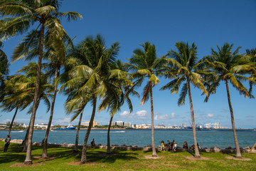 Summer vibes Miami Downtown Bayfront park by the bay