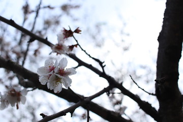 nature adventures travels