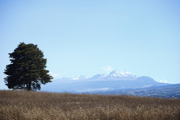 volcán Xinantécatl