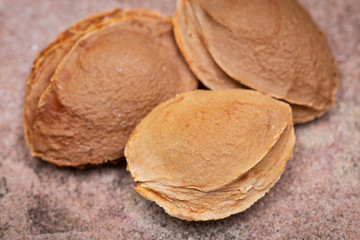 Dried Apricot Kernels (the seed of an apricot, often called a 