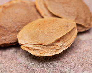 Dried Apricot Kernels (the seed of an apricot, often called a 