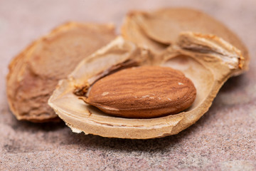 Dried Apricot Kernels (the seed of an apricot, often called a 