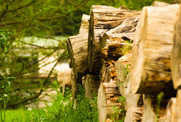 pile of cut down wood